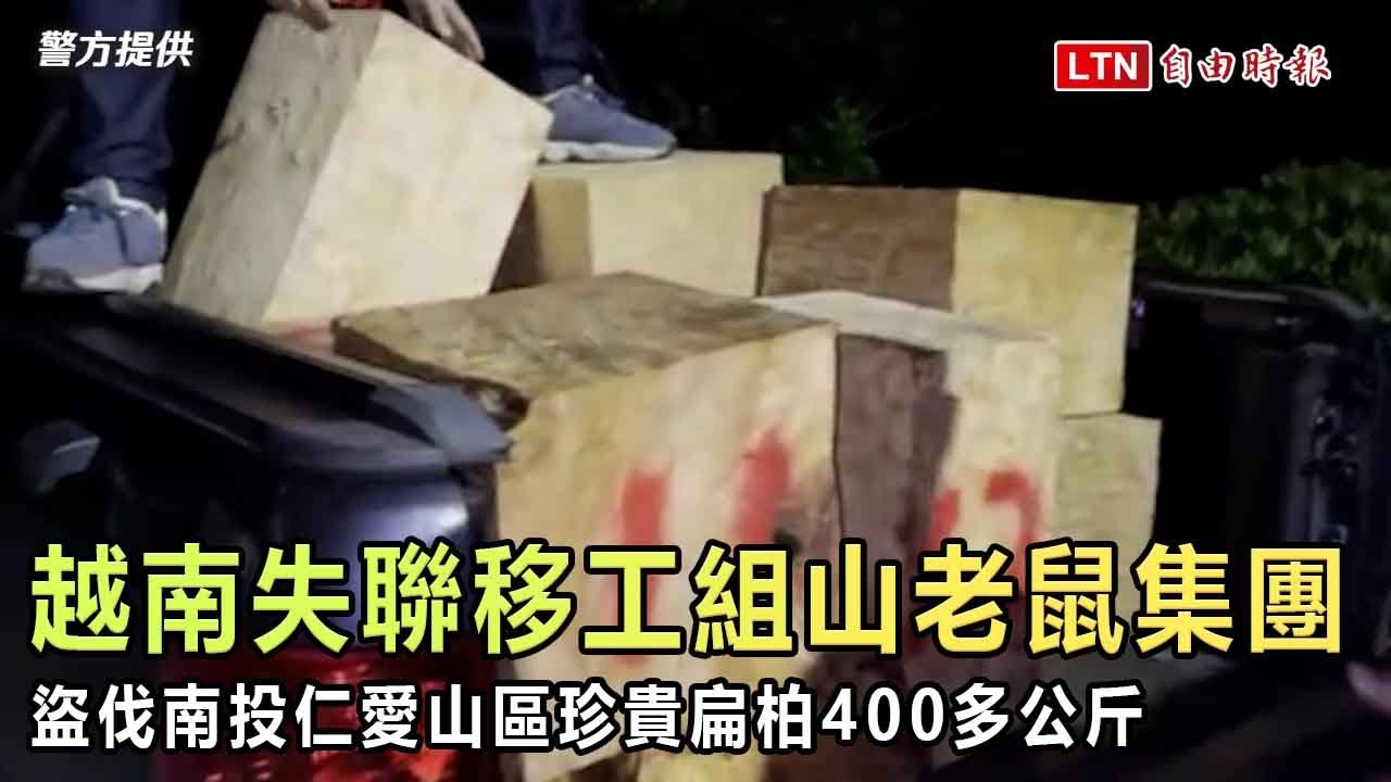 越南失聯移工組山老鼠集團 盜伐南投仁愛山區珍貴扁柏400多公斤