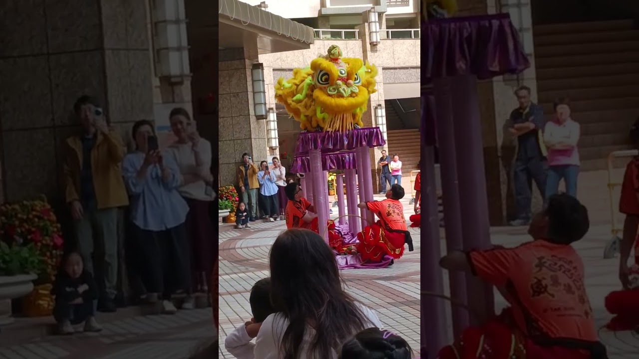 seru lur nonton  barongsai