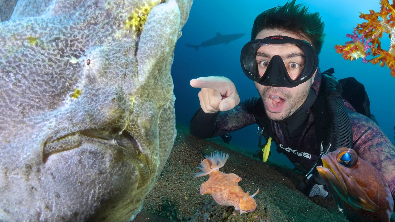Hunting Down An Ocean Monster: The Giant Frogfish