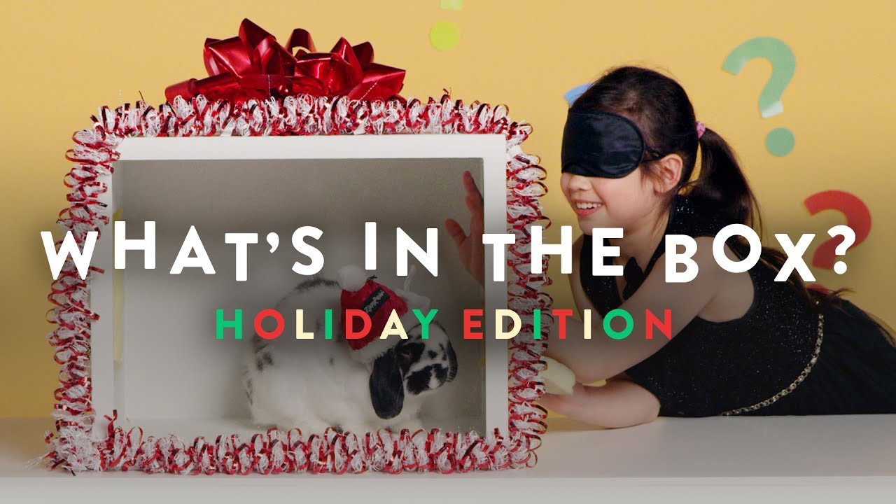 Holiday Edition | What's in the Box | HiHo Kids