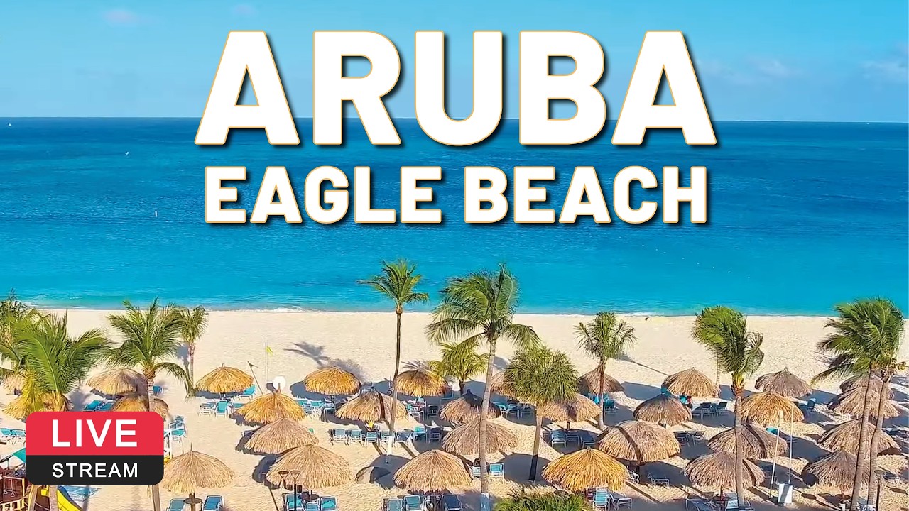 Eagle Beach Cam - Aruba 🌴☀️