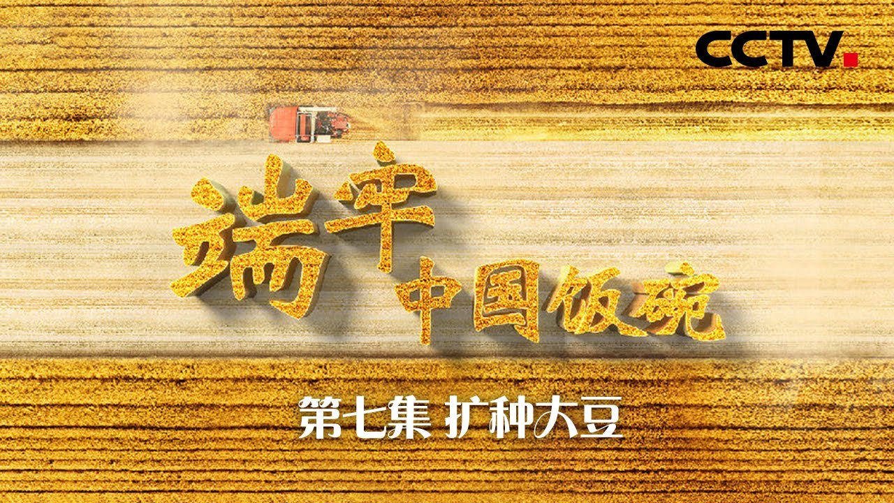 纪录片《端牢中国饭碗》第7集 扩种大豆 | CCTV「端牢中国饭碗」