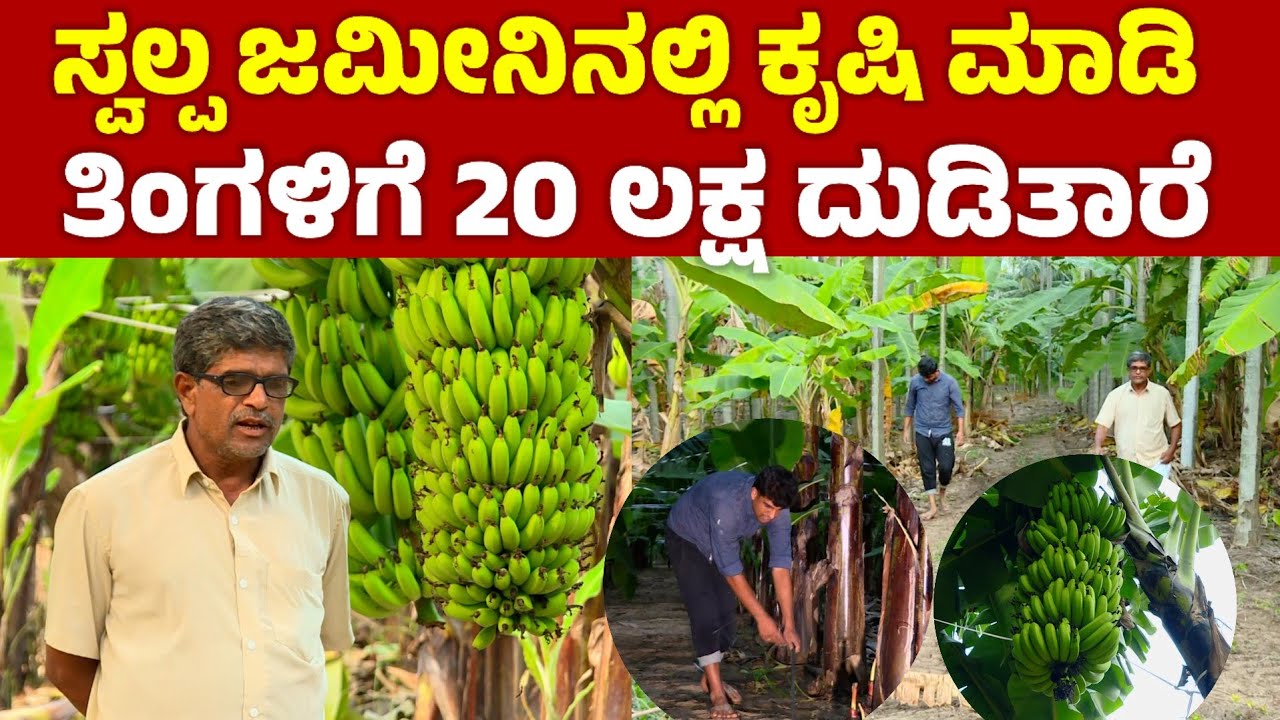 Success story: ಸ್ವಲ್ಪ ಜಮೀನಿನಲ್ಲಿ ಕೃಷಿ ಮಾಡಿ ತಿಂಗಳಿಗೆ 20 ಲಕ್ಷ ದುಡಿತಾರೆ 