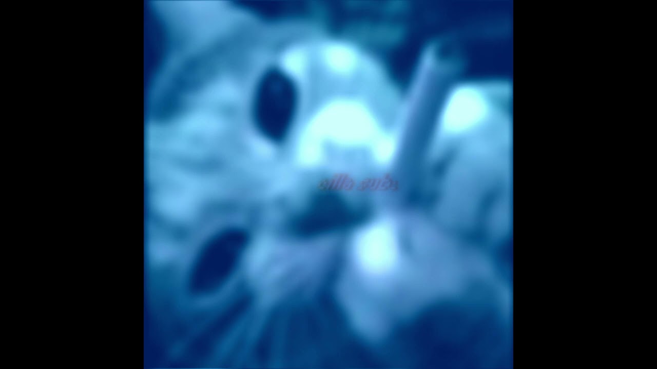 vape combo (calm version)