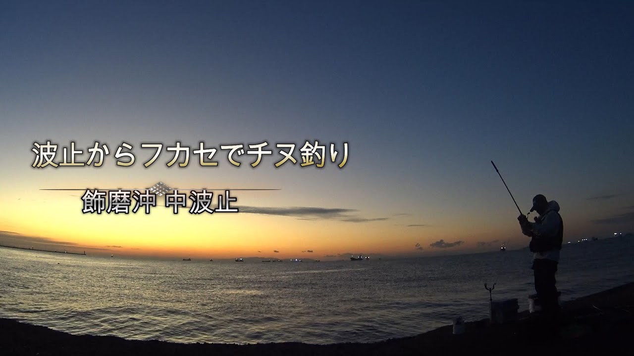 海の中はまだまだ温かい、初冬のチヌ釣り（えむら渡船さん）