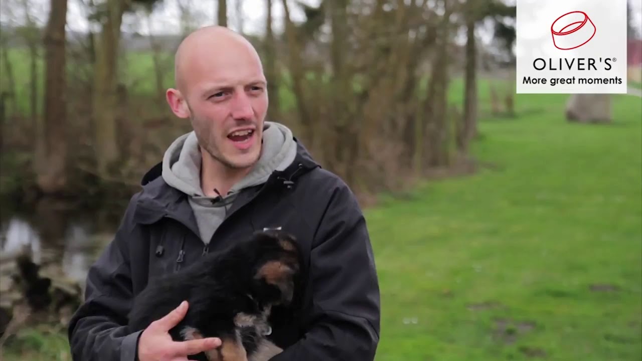 Gode r&aring;d f&oslash;r du k&oslash;ber en hundehvalp