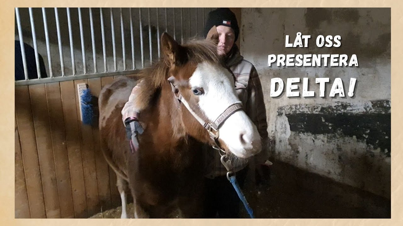 Låt oss presentera Delta!