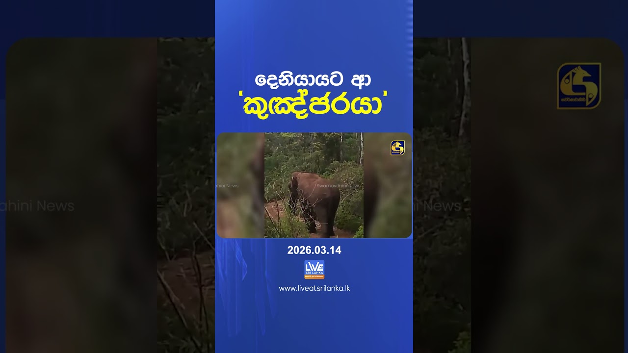 දෙනියායට ආ 'කුඤ්ජරයා'