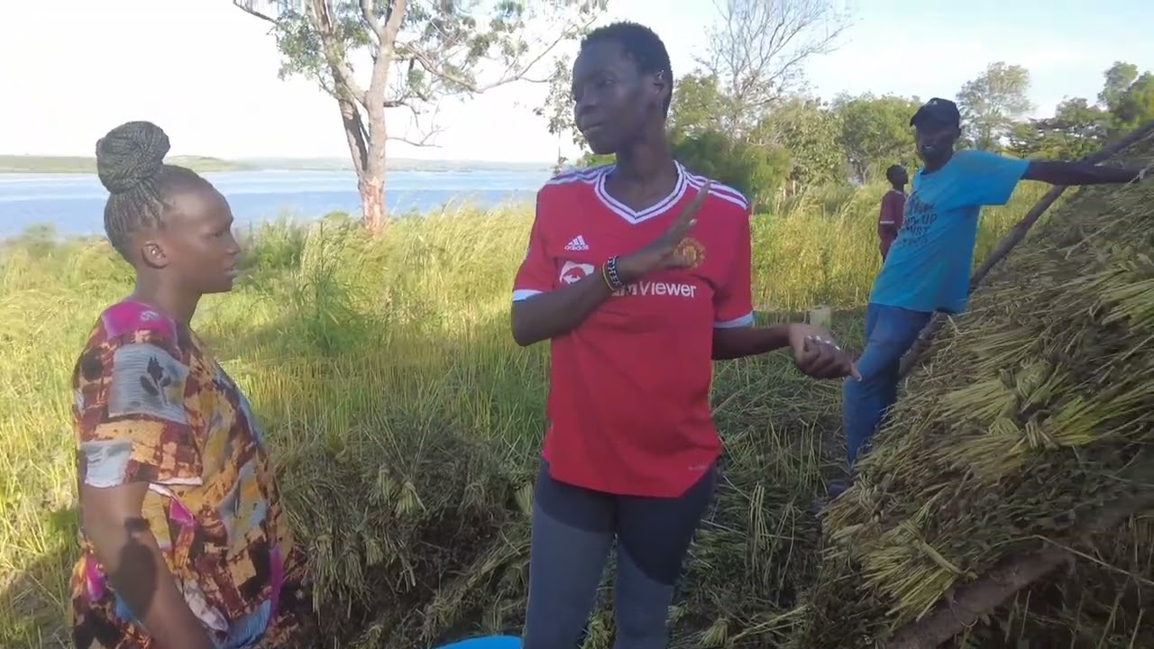 Simsim Growing Along River Nile in @African Nyako's Village