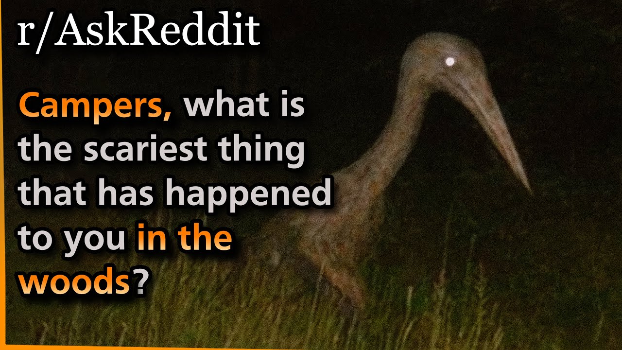 Campers, what is the scariest thing that has happened to you in the woods? | Askreddit