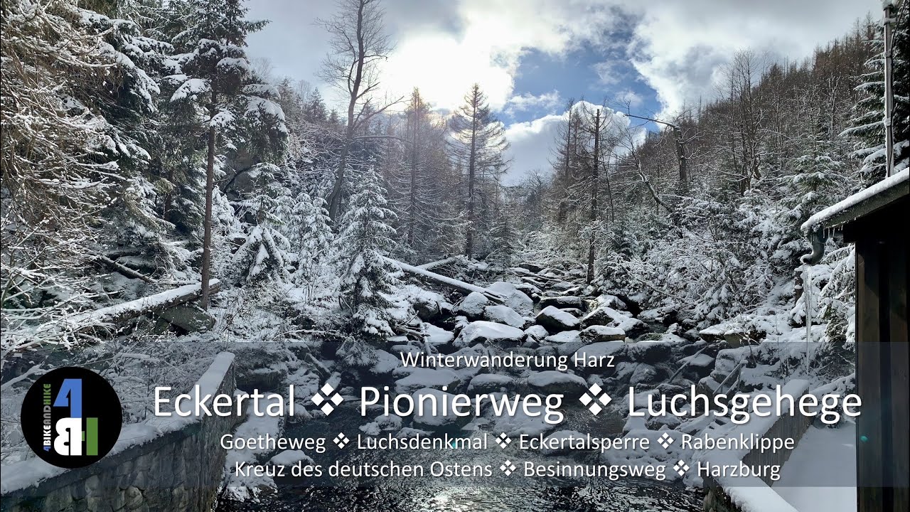 Harz, Wanderung Eckertal, Pionierweg, Eckertalsperre, Luchsgehege, Rabenklippe, Kreuz des d. Ostens