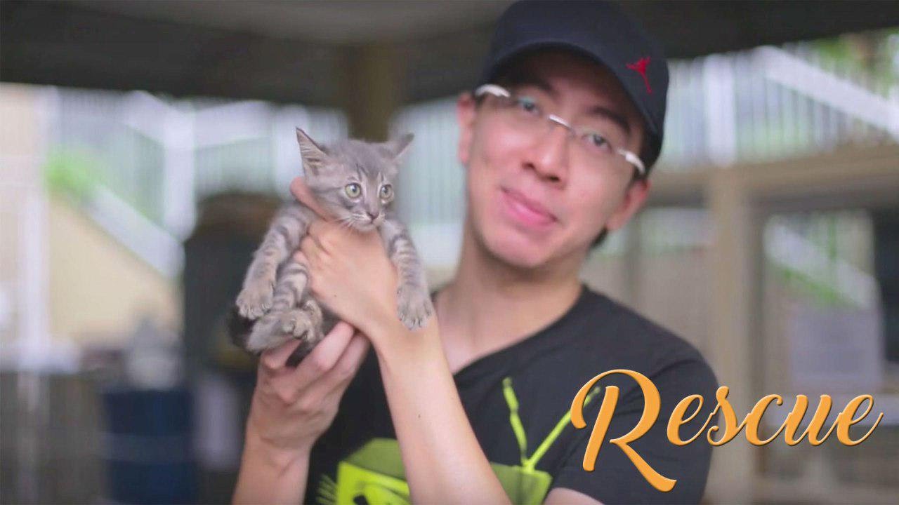 RESCUE - A Short Documentary of Animals Adoption