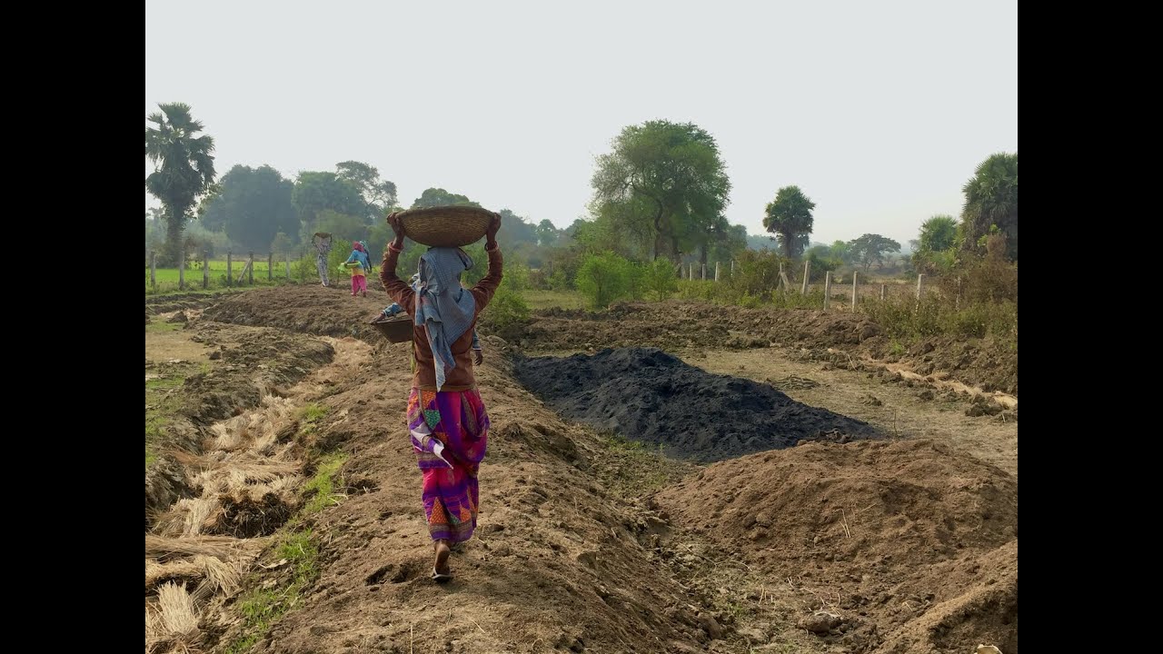 Transforming Dularia: from barren land to lush green forest