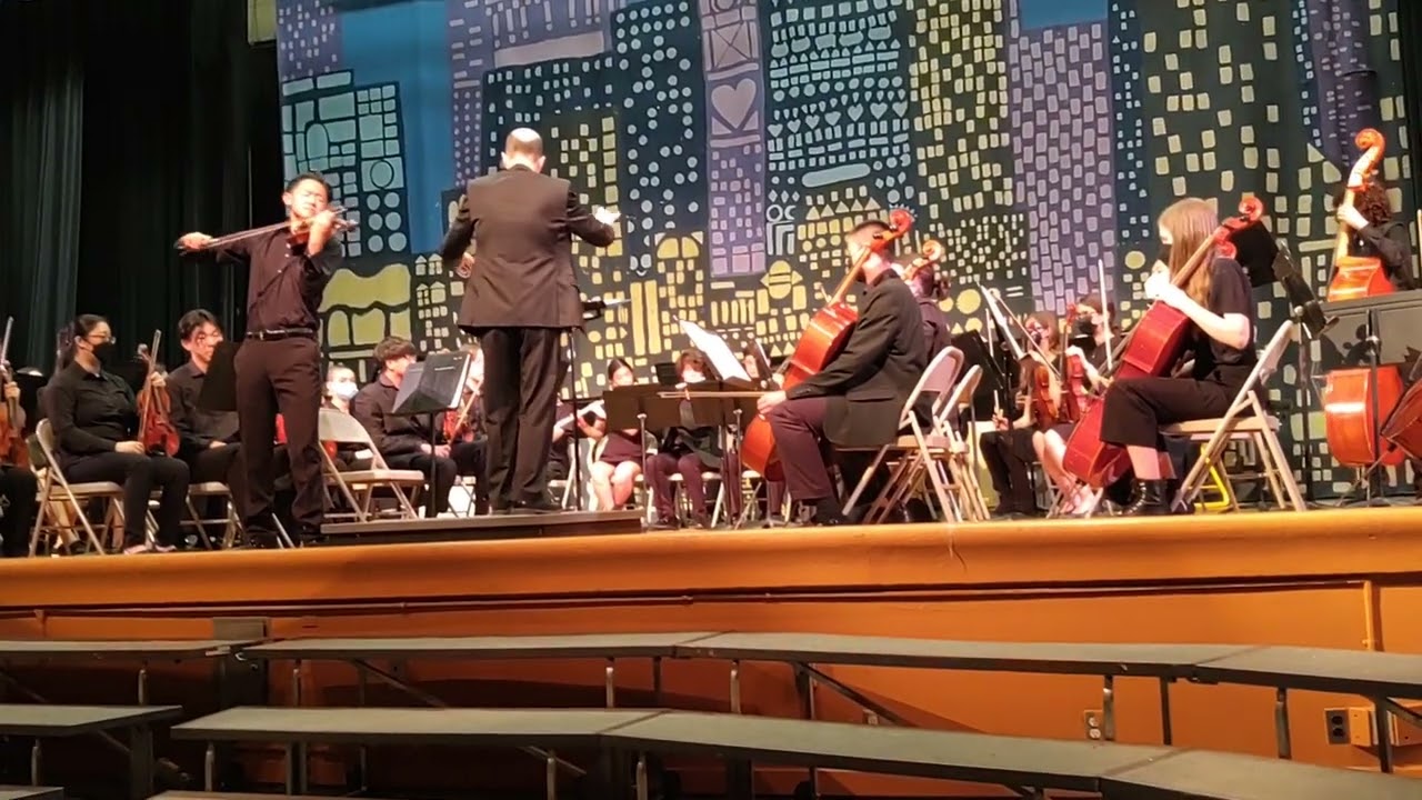 Violin Concerto in E Minor, Op 64 (1st mvt: Allegro molto appassianato)