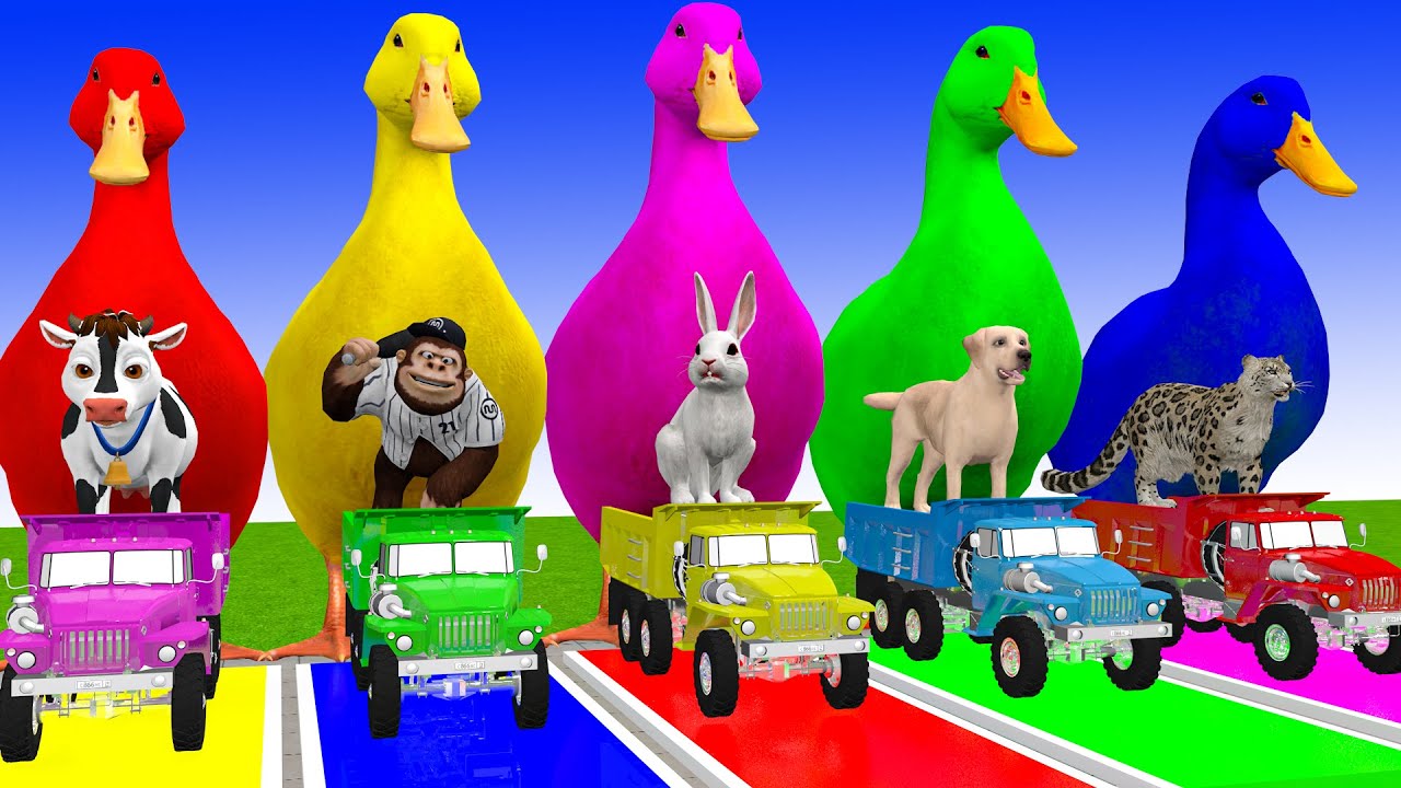 Long Slide Game With Cow Elephant Gorilla Hippopotamus Tiger 3d Animal Game Funny 3d Animals