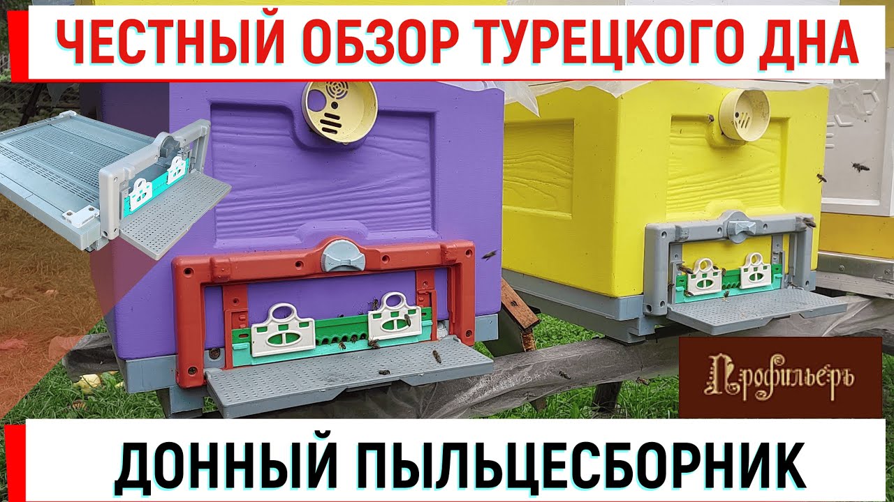 Честный обзор ТУРЕЦКОГО ДНА + прилетка + ДОННЫЙ ПЫЛЬЦЕСБОРНИК
