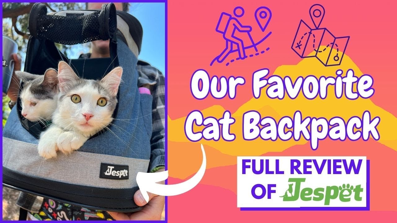 What's the BEST CAT BACKPACK? Full Review of the JESPET Backpack!