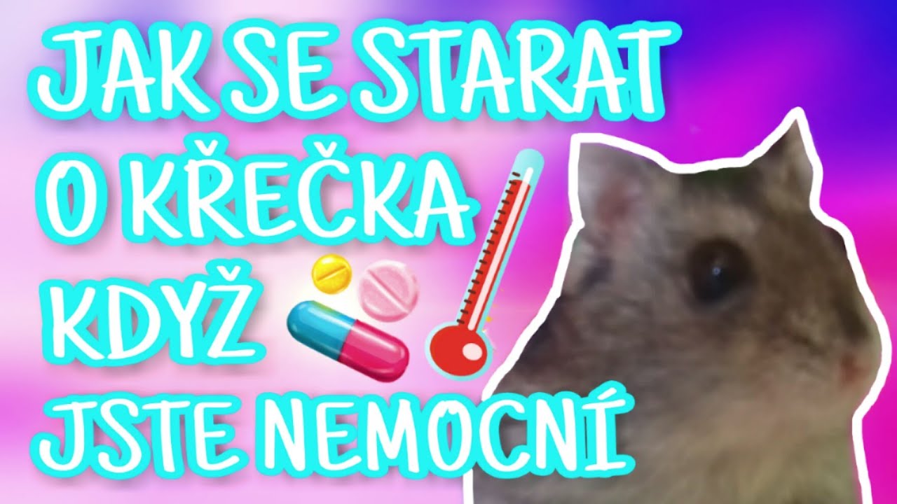 JAK SE STARAT O KŘEČKA, KDYŽ JSTE NEMOCN&Iacute; | Hams terka