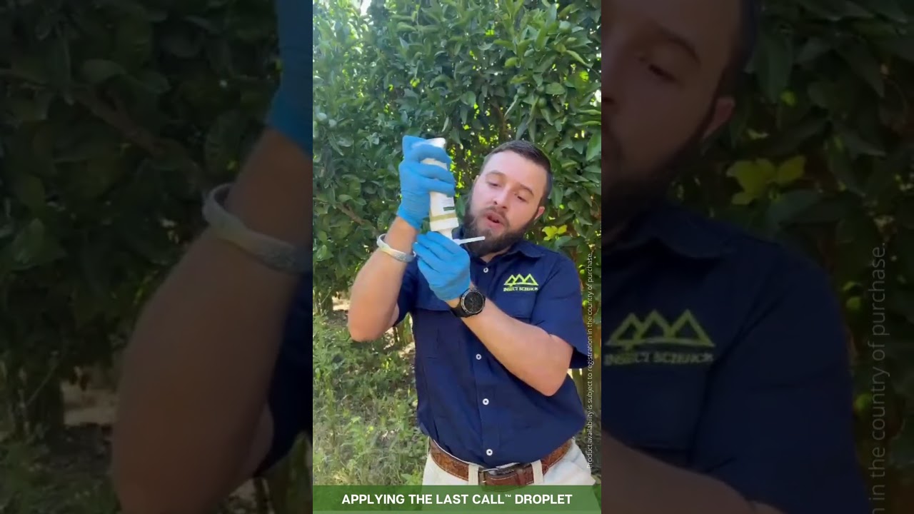 How to apply Last Call&trade; F.F. for effective fruit fly management