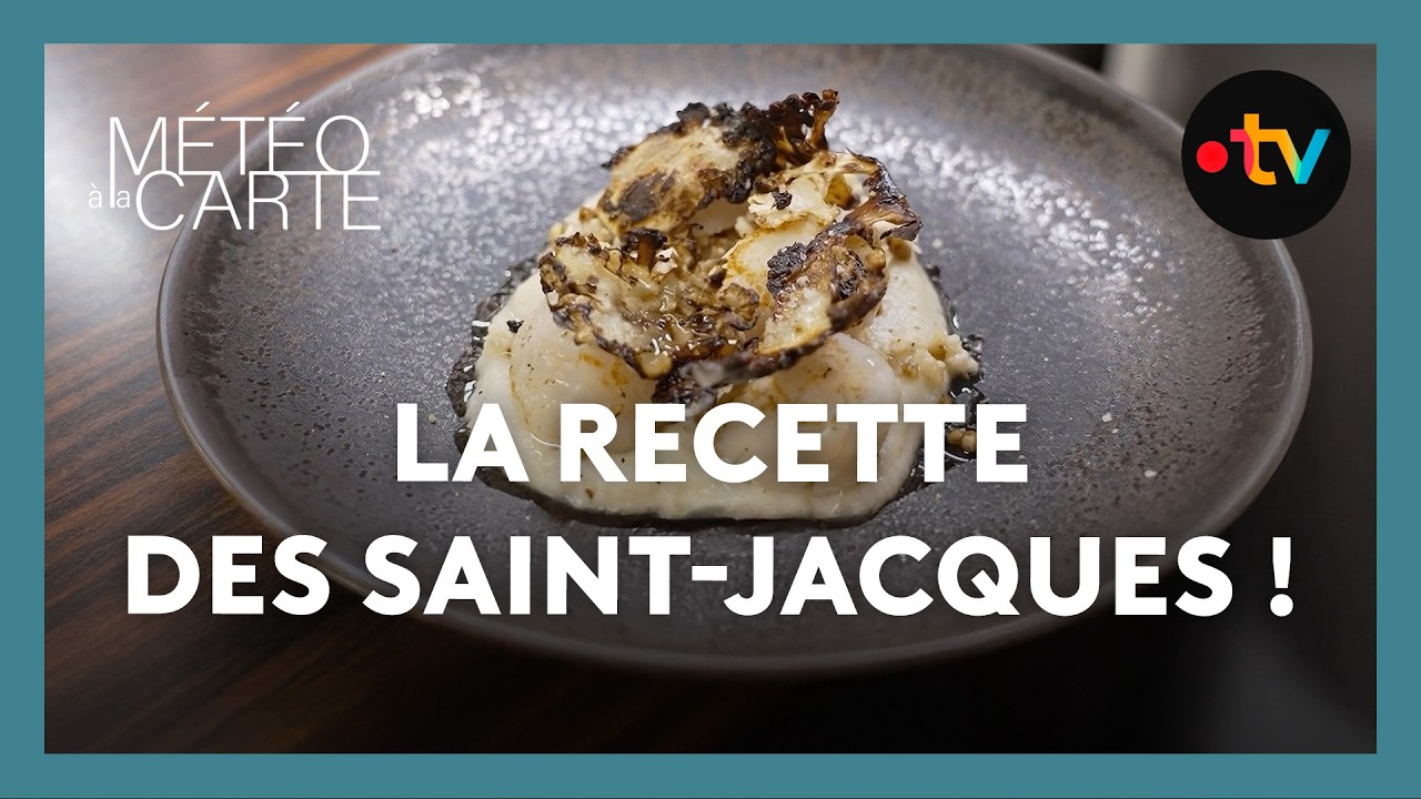 Les Saint-Jacques d’un grand chef ! - Météo à la carte