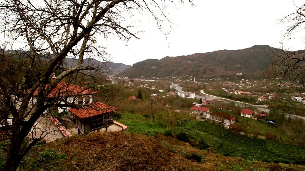 Küme zamanı / Gidreva Köyü /Arhavi / Artvin