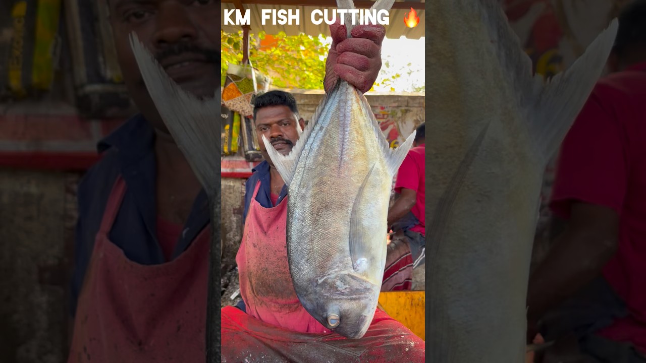 KASIMEDU 🔥 SPEED SELVAM FISH CUTTING VIDEO #kasimeduselvam #speedselvamcutting #fishcutting #shorts