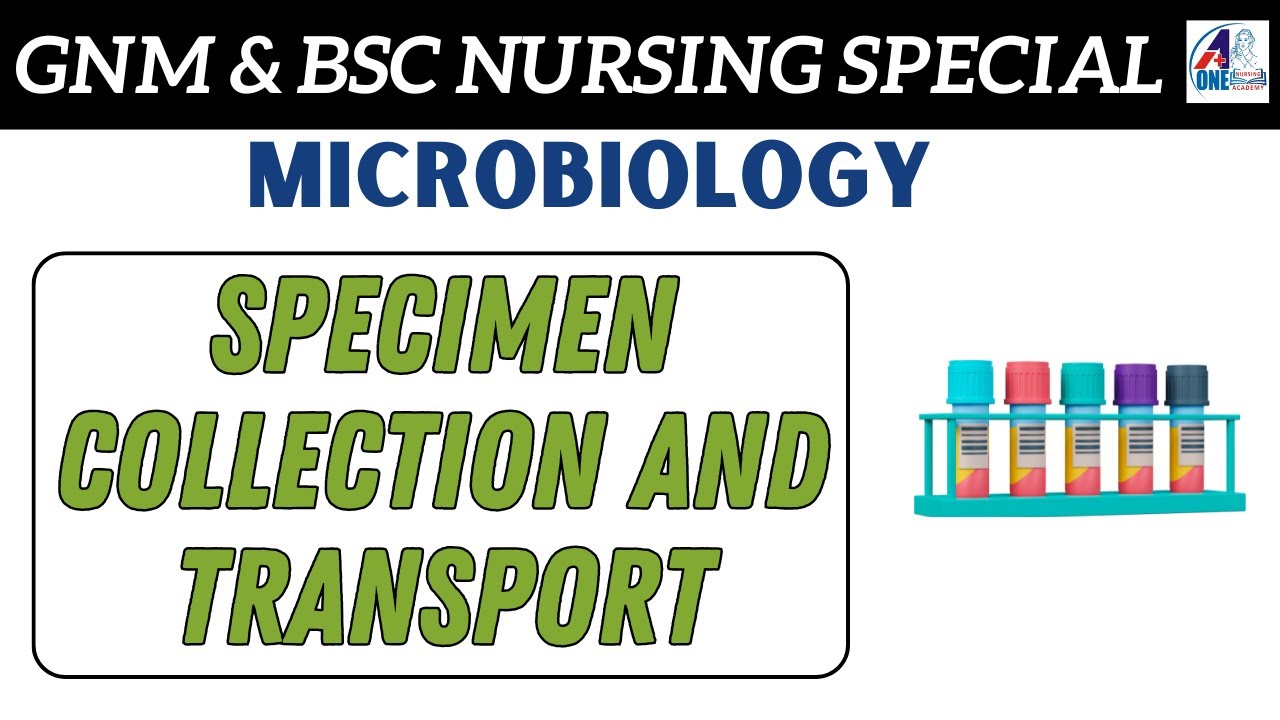 Specimen Collection and Transport in Hindi | Microbiology | Unit-Infection | B.Sc | Gnm