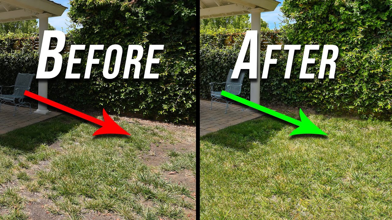 EASY Fill Using the Remove Tool in Photoshop 🔥