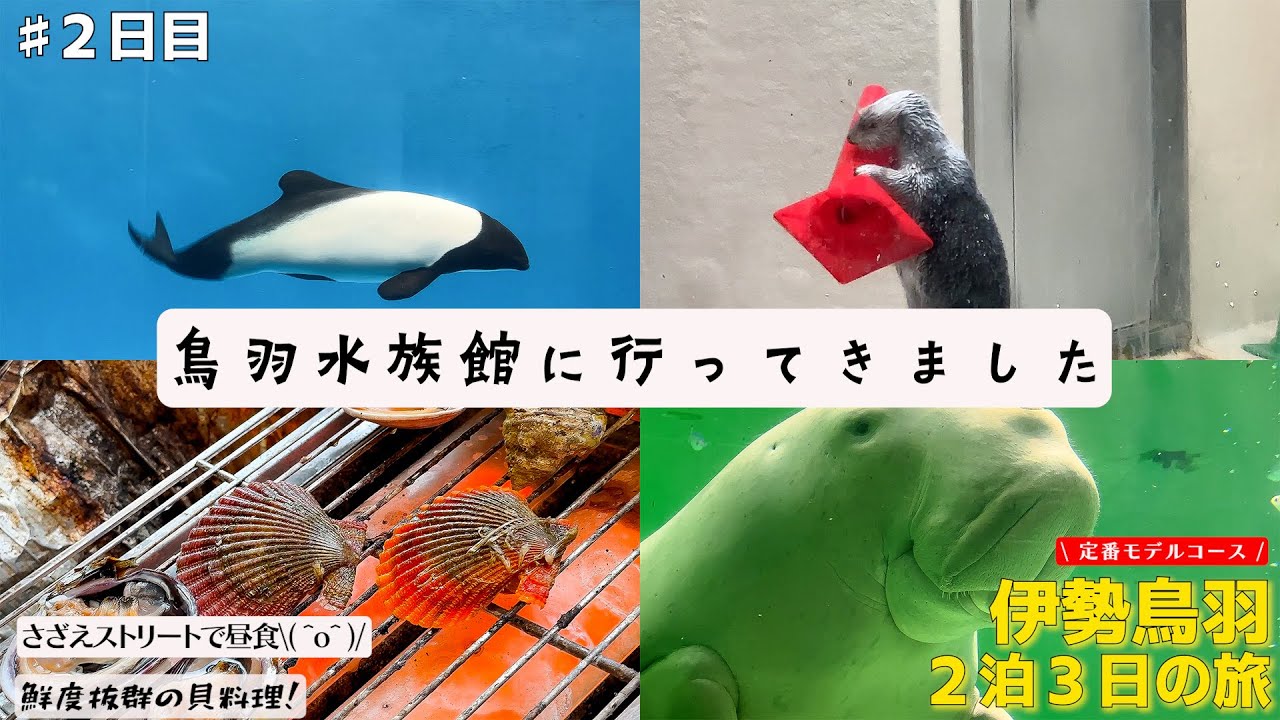 【伊勢鳥羽旅行♯２】鳥羽水族館の午前中のショー巡りのモデルコースを作ってみました