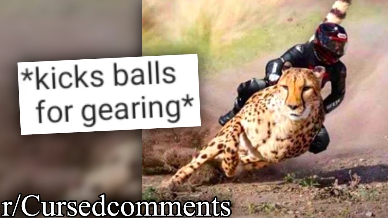 r/Cursedcomments | noah... get the boat.