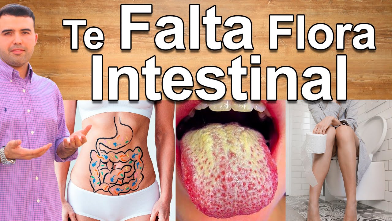 C&Oacute;MO SABER SI MI FLORA INTESTINAL EST&Aacute; DA&Ntilde;ADA? - S&iacute;ntomas y Signos de Falta y C&oacute;mo Recuperarla