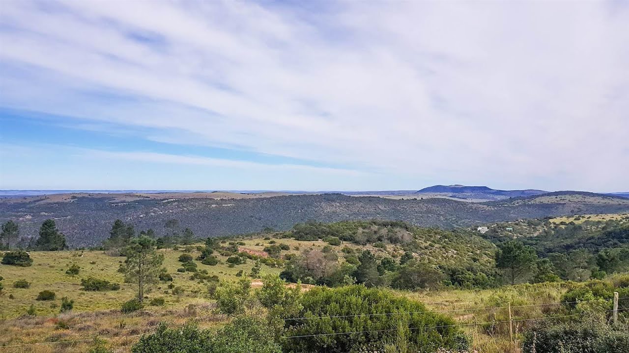 61.5 ha Farm for sale in Eastern Cape | Grahamstown | Grahamstown Central | 591 Loldani |