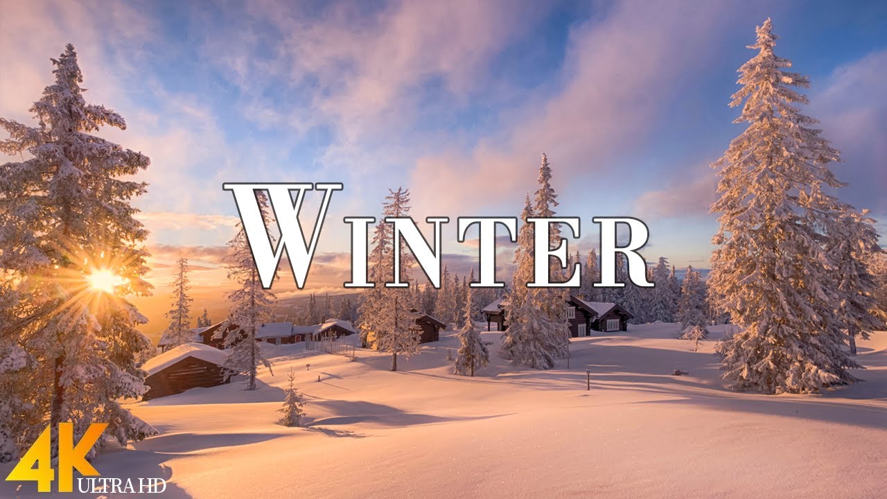 Winter November 4K Ultra HD • Enchanting Winter Wonderland, Relaxation Film with Calming Music.