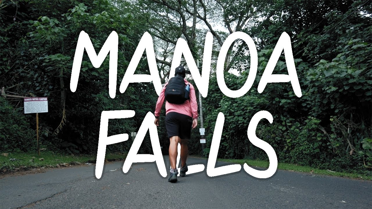 A Review of the Manoa Falls Hiking Trail | O’ahu, Hawaii