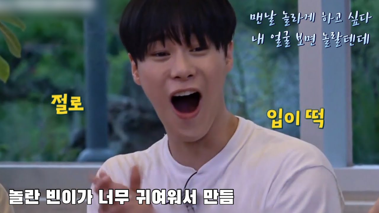 [아스트로/문빈] 놀란 멍냥이 빈이를 모아봄