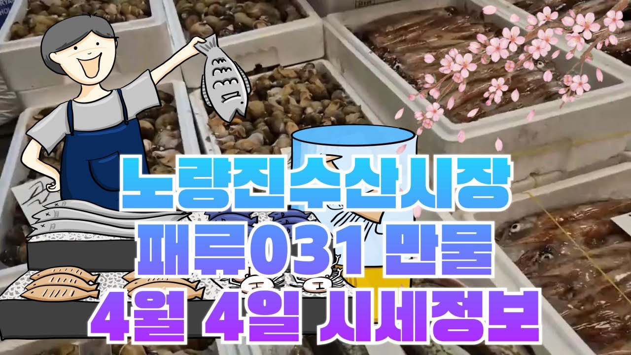 4월 4일 노량진수산시장 만물 (패류031) 시세정보 입니다. 36년 경력으로 믿고 찾아주세요☺