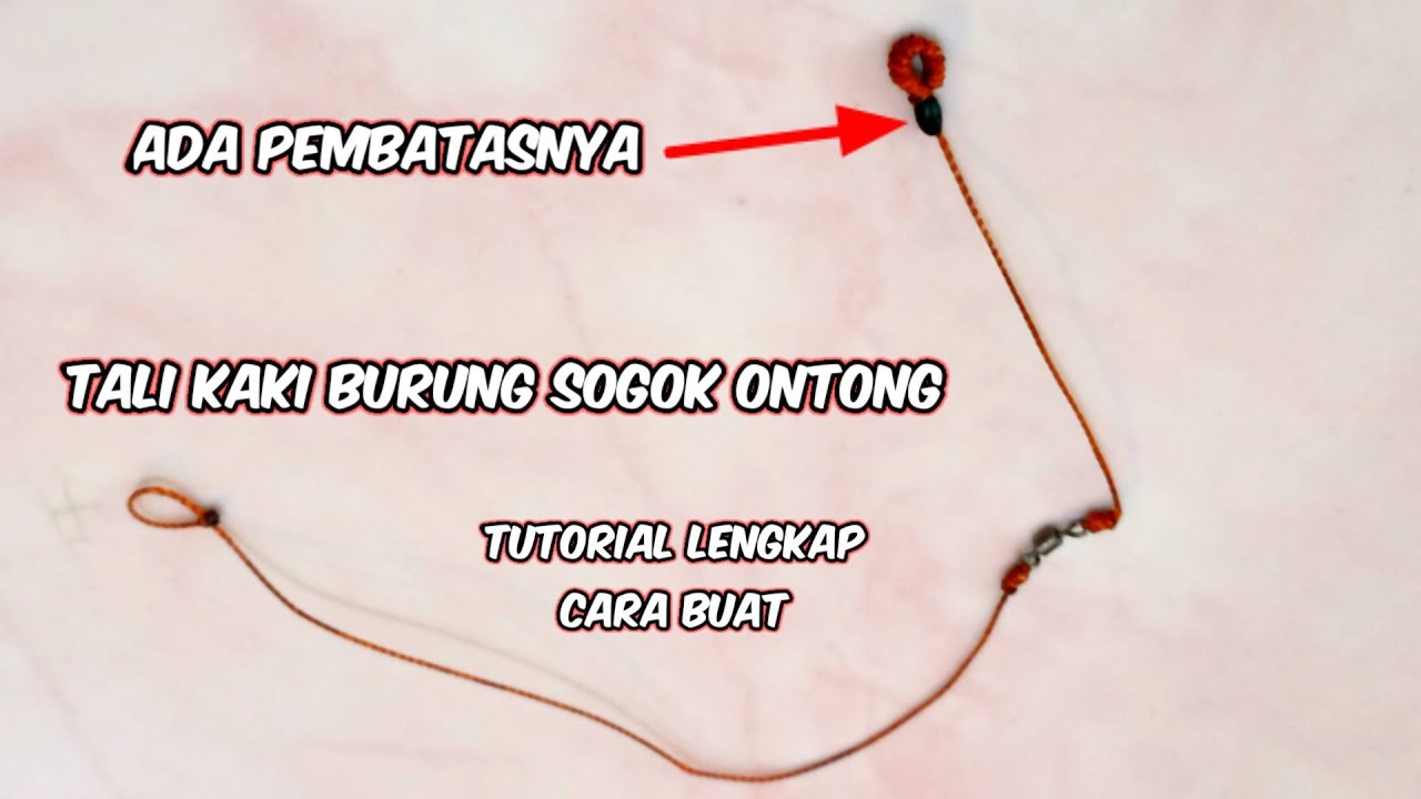 cara buat tali kaki burung sogok ontong versi terbaru @ARIF CHANNEL