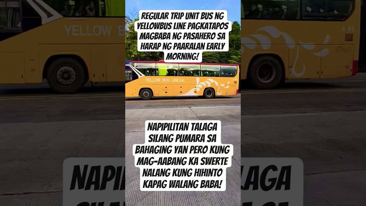 #busspotting #vibrant #lengthy #after #dropping#off#passenger #infront #school #pedestrian #highway