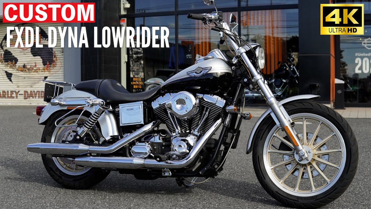 絶版ハーレーカスタム‼️FXDL DYNA LOWRIDER