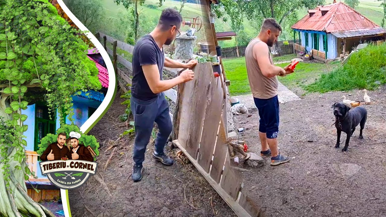 O aflat Cornel ca am ascuns excavatorul de la Casuta din Padure!