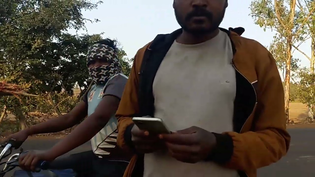साग काष्ठागार मध्ये प्रदेश जंगल....