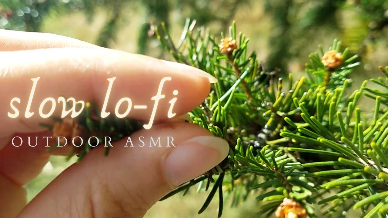 lofi ASMR In Nature | Slow & Gentle Screen Tapping, Tracing, Touching Plants, Scratch-Tap Ect