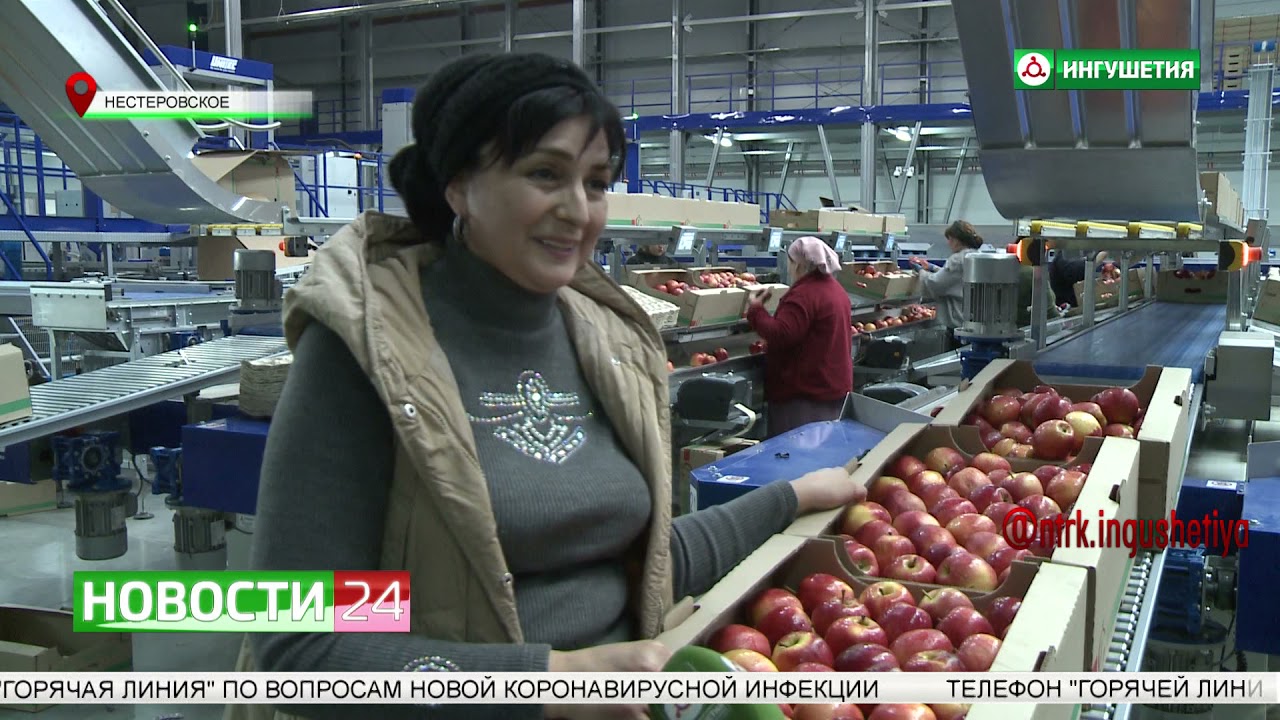 Реализация продукции в ООО 