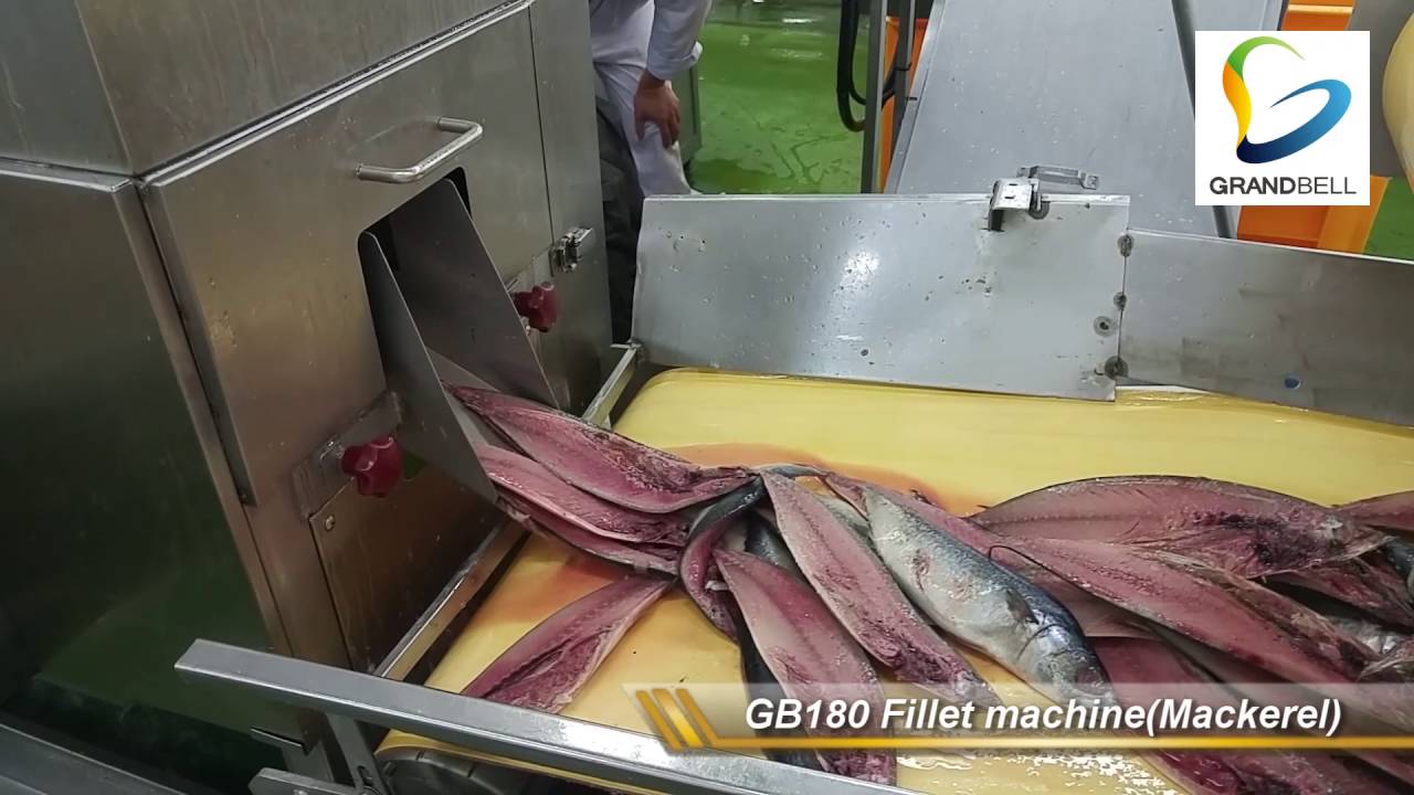 [그랜드벨]GB180, GB184  필렛머신(고등어), fish fillet machine (mackerel) (주)그랜드벨 GRANDBELL