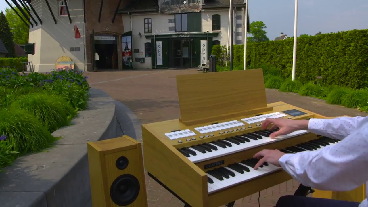 Content Organs Compact 224