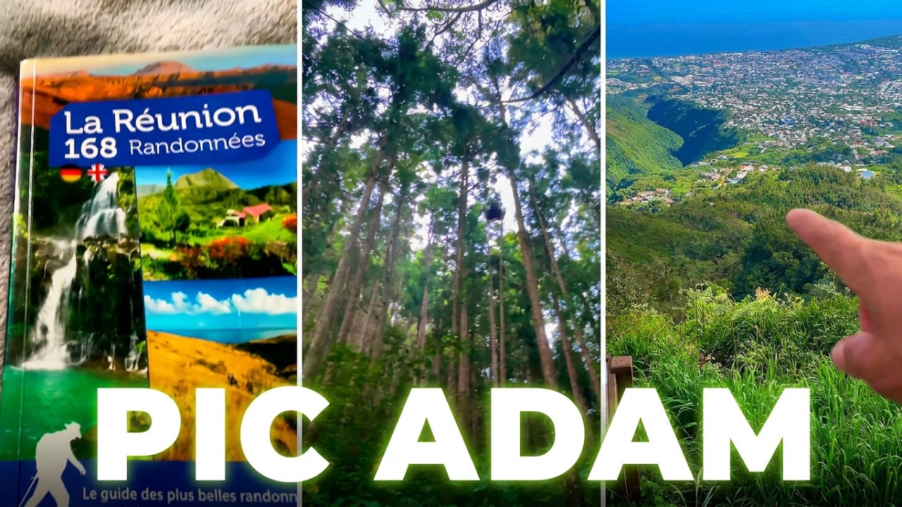 🇷🇪Défi Rando 🏆PIC ADAM🏆 (St-Denis) ٭𝚁𝚎𝚞𝚗𝚒𝚘𝚗🇷🇪 #randonnée