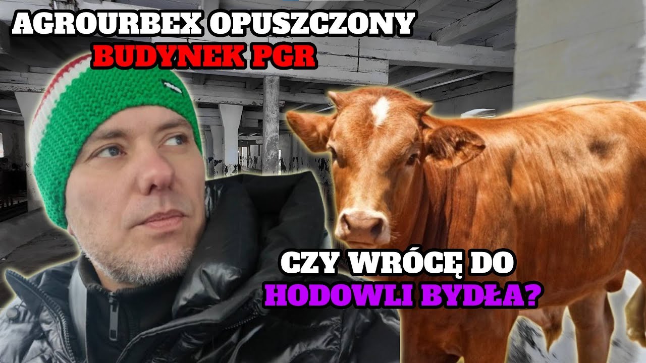 OPUSZCZONY BUDYNEK PGR | POWRÓT DO HODOWLI BYDŁA?