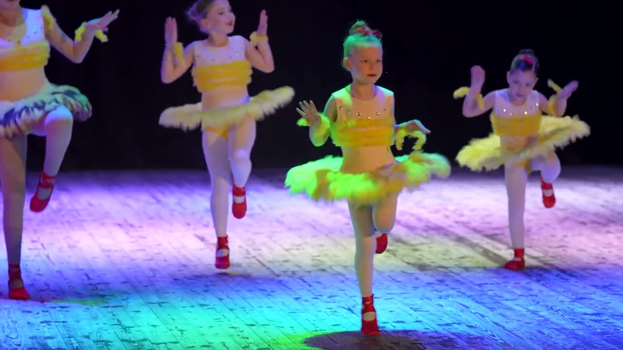 კეღოშვილებთან არსებული საბალეტო სტუდია N studio 22 02 2026