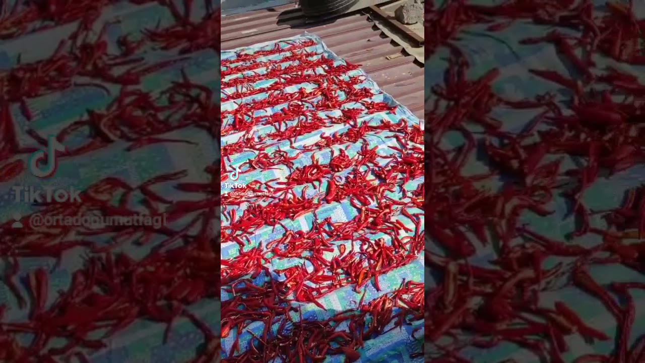 Ev yapımı Pul Biber