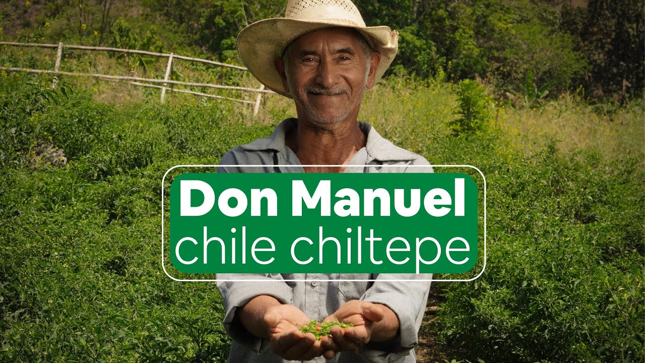 Don Manuel y su emprendimiento de CHILE CHILTEPE